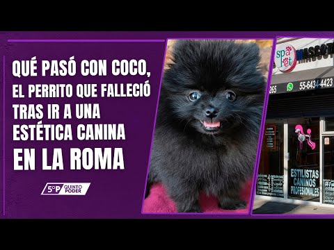 Thumbnail 68285