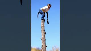 Monkey Vlog - Monkey vs Wild Lion #monkey #vlog #funny