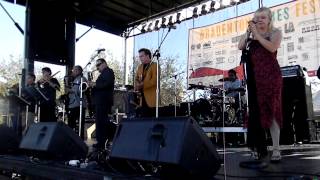 Steve Arvey Horn Band at Bradenton Blues Festival First Three Songs