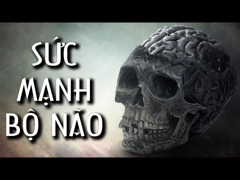 CD Media - Khám Phá and 2 more