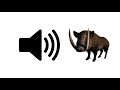 Wild Boar Sounds Sound Effect ProSounds