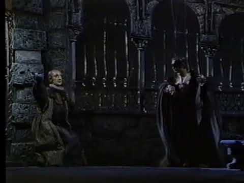 Wolfgang Amadeus Mozart's Don Giovanni - The Salzburg Marionette Theater 1995 VHS