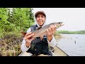 Video Thumbnail for Must have lure for stocked splake & tiger trout!