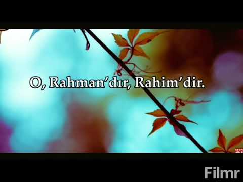 Amenerrasulü, ayetel kursi, lev enzelne,bakara suresi, haşr suresi meali.