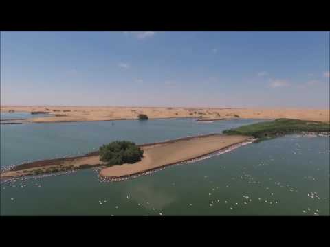 Phantom 4 DJI 20 m height Bird Sanctuary Walvis Bay Namibia