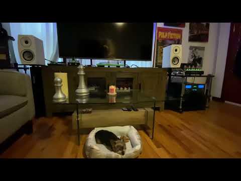 JAMO 93 II VS TRIANGLE BOREA BRO3 🏴‍☠️