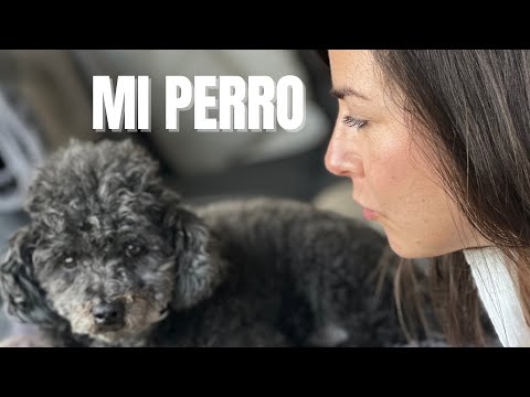 4 Irregular Reflexive Verbs in Spanish: Acostarse, Dormirse, Vestirse, Ponerse