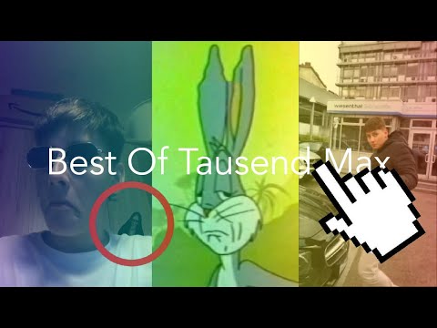 ✨Best Of Tausend Max✨ (2Hours)