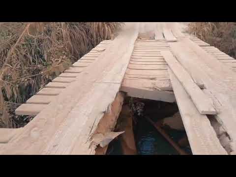 H&C TREINAMENTOS, MT #hctreinamentos #flavioheming #treinamento #aventuras #matogrosso #agro  🇧🇷