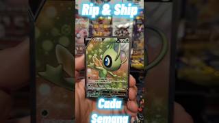 Directos Rip & Ship todas las semanas #pokemon #pokemoncards #pokemontcg #tcg