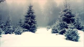 Winter Megamix (Chillout/Deep House/ & Others
