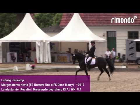 BuCha-Quali Landesturnier Redefin – Ludwig Heskamp & Morgensterns Nevio