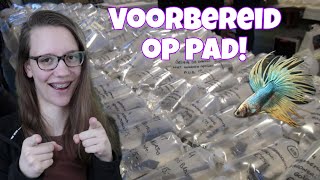 Zo Doe je GEEN MISKOOP met VISSEN!  //Nickey//