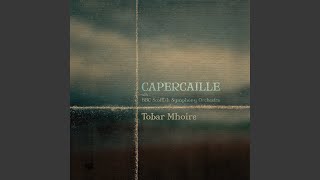 Music video thumbnail preview for Tobar Mhoire (feat. BBC Scottish Symphony Orchestra) (Orchestral) by Capercaillie
