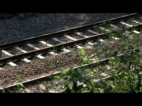 Nazi-Zug in Polen: Schatzsucher im Goldrausch