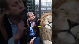 Man subduing a lion with slippers #animals #shortvideo #lion