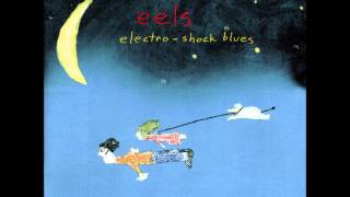 Eels - 3 Speed