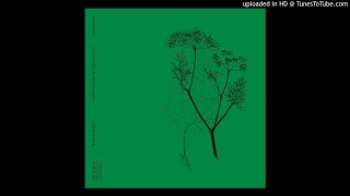 Mark Barrott - Aroon