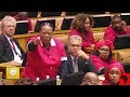 Language Problem Turning Parliament Into A Circus