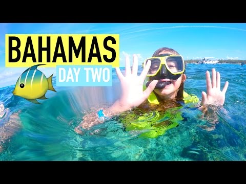Snorkeling in the Bahamas!