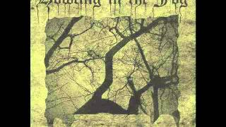 Howling in the Fog - Struck By A Veil Of Depression Forlon (2014)