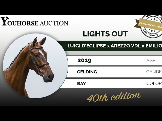 Lights out