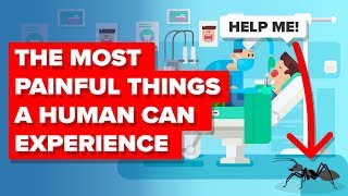 Most Painful Things A Human Can Experience