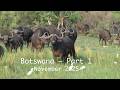 Botswana – Part 1 DEFAULT Thumbnail