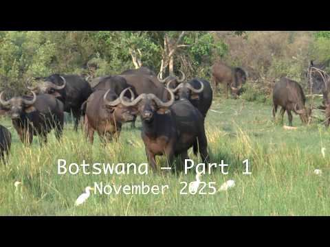 Botswana – Part 1