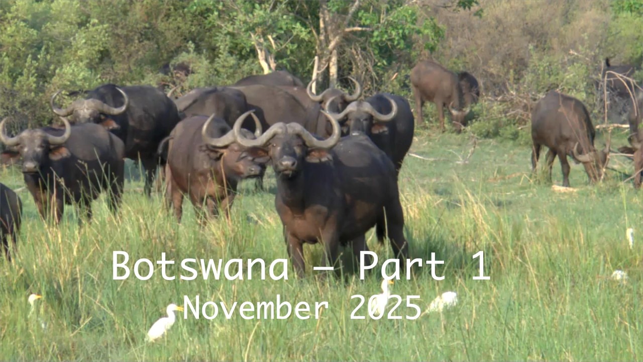 Botswana – Part 1