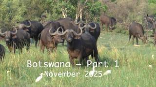 Botswana – Part 1 MQDEFAULT Thumbnail