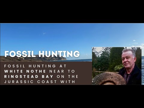 Fossil Hunting at White Nothe Near to Ringstead Bay on the Jurassic Coast of Dorset