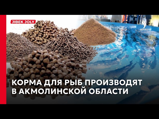 Рыбное хозяйство под Астаной: новый завод запустят в 2027 году