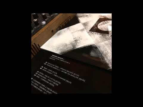 Novio Dub Tribe - Faraday Uncaged (Waehlscheibe)