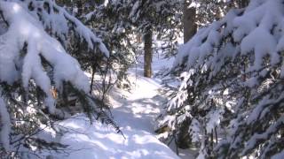 Enya-And Winter Came....