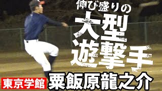 動画を再生