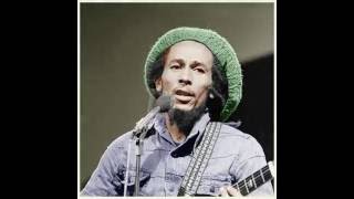 Jungle fever-Bob Marley