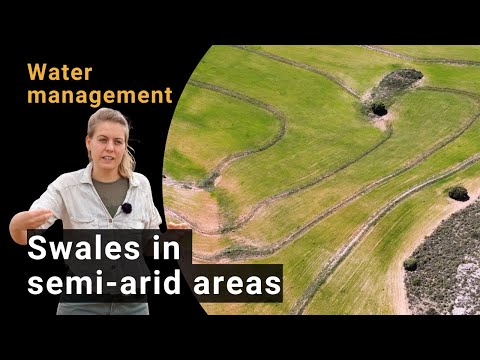 How to make swales for water retention in dry areas | Climate-smart practices at La Junquera Farm