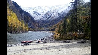 Ссылка