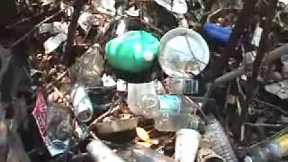 It Ain&#39;t Easy Being Green!