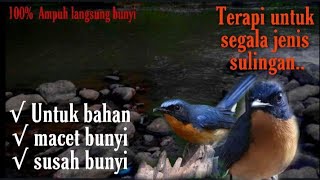 Download lagu Ampuh..!!!  terapi sulingan gunung, terapi sulingan bakau,terapi sulingan laut mp3