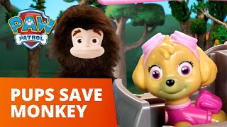 GIANT Monkey Rescue! 🙉 PAW Patrol Toy Pretend Play Rescue for Kids