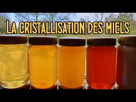 , title : 'USaA - La cristallisation des miels avec Paul Schweitzer'