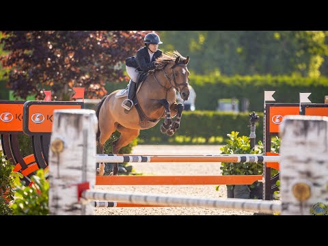 Lilly DL video 1