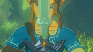 THE HERO'S SWORD!! - Breath of the Wild #20