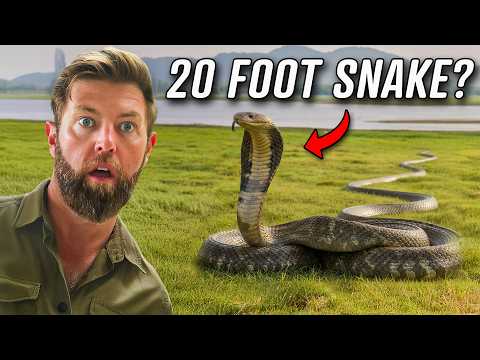 Face to Face with India’s Deadliest Animals (Private Tour)