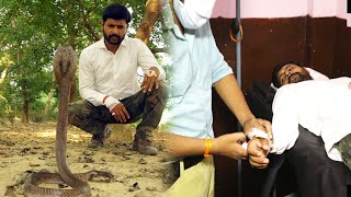 Murliwale Hausla is Back यही कोबरा सांप ने डसा था, 22 साल पुराना कोबरा जंगल में आजाद कर दिया गया। video