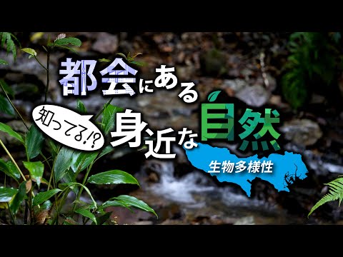 生物多様性の推進 自然と動物