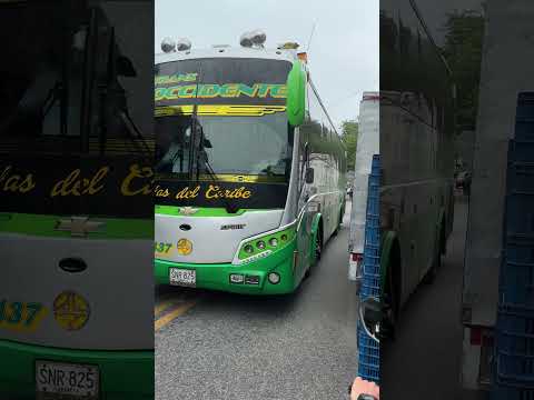 Bus de Sotra Uraba Entrando a Dabeiba - Antioquia.