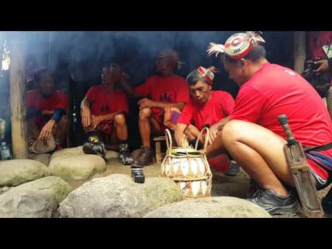 download lagu mp3 mp4 Tiaf, download lagu Tiaf gratis, unduh video klip Tiaf